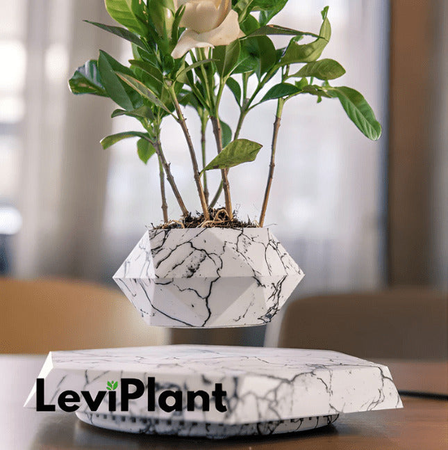 LeviPlant - Vaso Magnético Bonsai  [ULTIMAS UNIDADES]